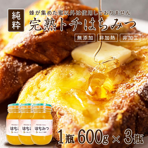 トチはちみつ 600g× 3瓶 セット