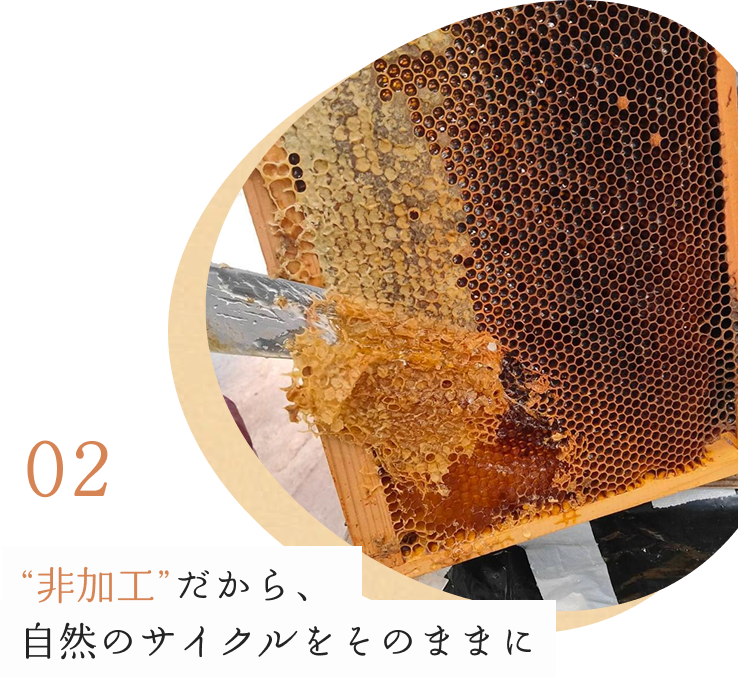 02非加工だから、自然のサイクルをそのままに