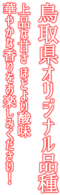 鳥取県オリジナルいちご、上品な甘さ、ほどよい酸味、華やかな香りを是非お楽しみください