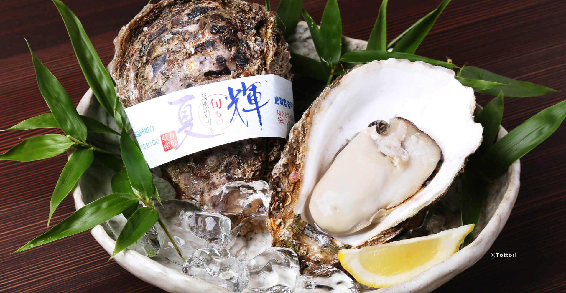 夏輝