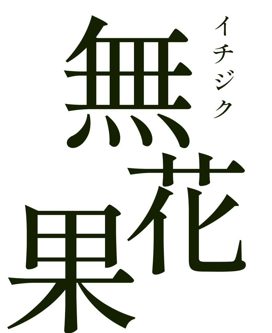 鳥取の多品種栽培イチジク農家から産地直送！生いちじく(無花果)お取り寄せ通販サイト