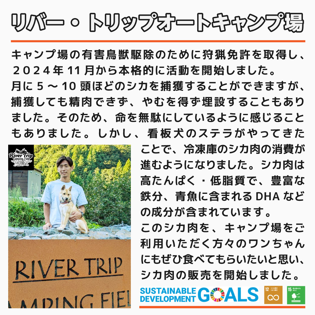 リバー・トリップオートキャンプ場 キャンプ場の有害鳥獣駆除のために狩猟免許を取得し、２０２４年11月から本格的に活動を開始しました。月に5～10頭ほどのシカを捕獲することができますが、捕獲しても精肉できず、やむを得ず埋設することもありました。そのため、命を無駄にしているように感じることもありました。しかし、看板犬のステラがやってきたことで、冷凍庫のシカ肉の消費が進むようになりました。シカ肉は高たんぱく・低脂質で、豊富な鉄分、青魚に含まれるDHAなどの成分が含まれています。
                このシカ肉を、キャンプ場をご利用いただく方々のワンちゃんにもぜひ食べてもらいたいと思い、シカ肉の販売を開始しました。
