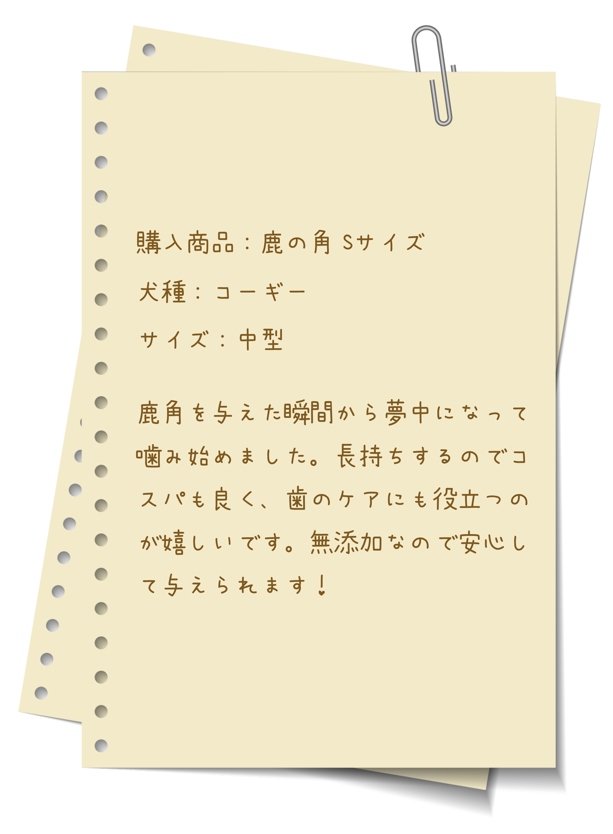 購入商品：鹿の角 Sサイズ 犬種：コーギー サイズ：中型 鹿角を与えた瞬間から夢中になって噛み始めました。長持ちするのでコスパも良く、歯のケアにも役立つのが嬉しいです。無添加なので安心して与えられます！