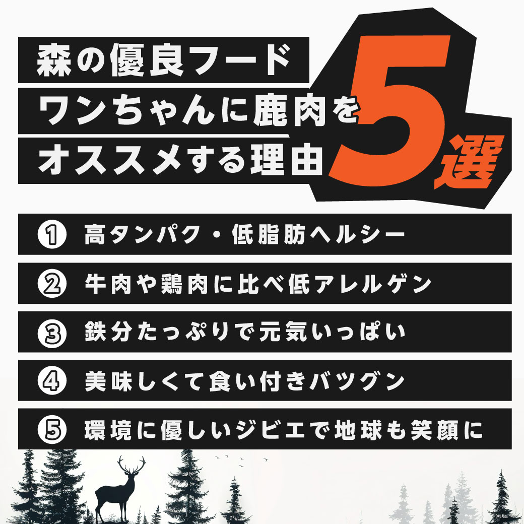 森の優良フードワンちゃんに鹿肉をオススメする理由 5選 ①高タンパク・低脂肪ヘルシー
                 ②牛肉や鶏肉に比べ低アレルゲン ③鉄分たっぷりで元気いっぱい ④美味しくて食い付きバツグン ⑤環境に優しいジビエで地球も笑顔に