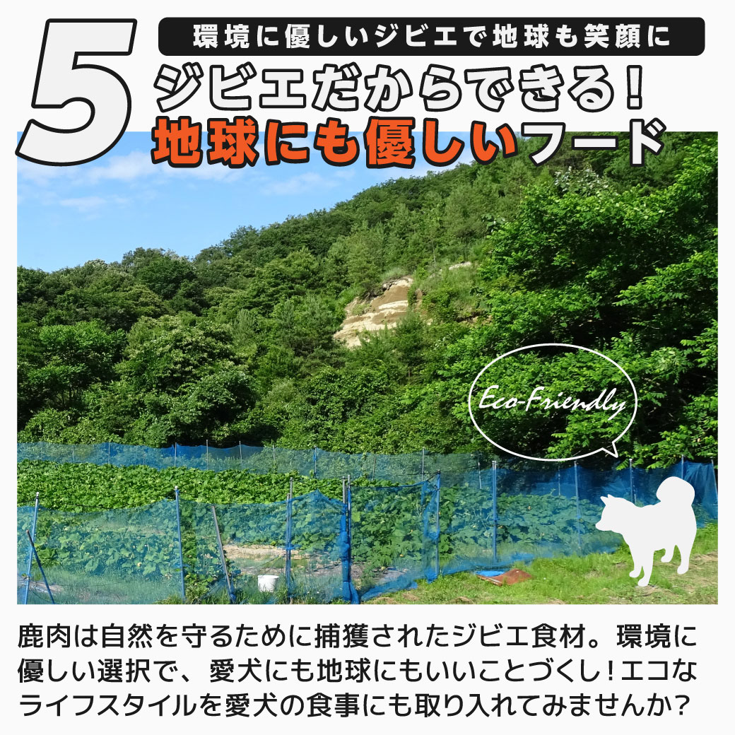 ⑤環境に優しいジビエで地球も笑顔に ジビエだからできる！地球にも優しいフード 鹿肉は自然を守るために捕獲されたジビエ食材。環境に優しい選択で、愛犬にも地球にもいいことづくし！エコなライフスタイルを愛犬の食事にも取り入れてみませんか？