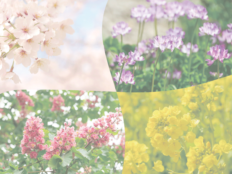 百花